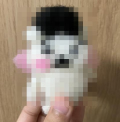 【画像】ワイの羊毛フェルトが酷すぎる件について
