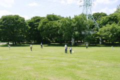 結婚すらできない負け犬って高卒、非正規、低所得、障害者、犯罪者だろ？底辺は自己責任やぞ