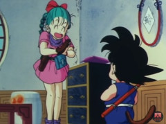 ブルマ「ドラゴンレーダーと宇宙船とタイムマシン作りました」←こいつだけちょっと異常だよな