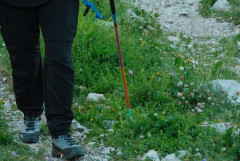 あるヨーロッパ人はAIに北アのお勧め登山ルートを聞いて、西奥縦走を提案されたと言っていた　笑