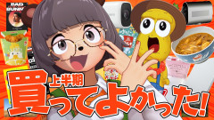 【感動】ぽんぽこちゃんねるが選ぶ2026年上半期のマジで買ってよかった神商品ベストバイ！× ピーナッツくん