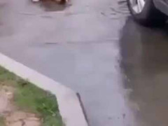 ゲリラ豪雨のせいで道路一面が水に浸かった。困ったな → でも現場には例外もいるようです…