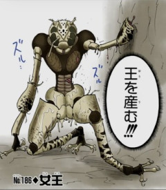 【ハンターハンター】確かに危険評価Bだな