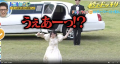 【動画】声優芸人という新たなポジションを確立した女ｗｗｗｗｗｗｗｗｗｗｗｗｗｗｗｗｗｗ