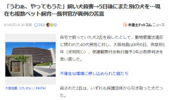 酔って飼い犬◯◯「うわぁ、やってもうた」→5日後にまた別の飼い犬を、なお「現在も複数ペット飼育」裁判官が苦言「もう飼うなお前」