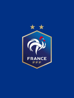 【画像】フランス代表の新エンブレム、日本企業に激似 ｗｗｗｗｗｗ