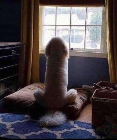 心が汚れている人にしか見えない画像11回目