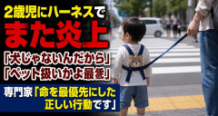 【育児】2歳児にハーネスでまた炎上「犬じゃないんだから」「ペット扱いかよ最低」→専門家「命を最優先にした正しい行動です」