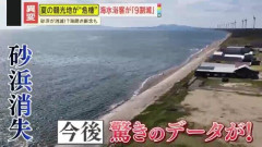 日本人海水浴客、ピーク時の3790万人から9割以上減少😨