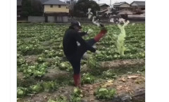 【動画あり】タイ人技能実習生が畑のキャベツを爆笑しながら全力で蹴り飛ばす動画がXで拡散され大炎上