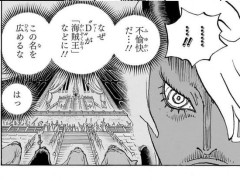 【朗報】ワンピースのラスボスさん、仇敵「D」が海賊王になっても名前を隠すだけで許してあげていた