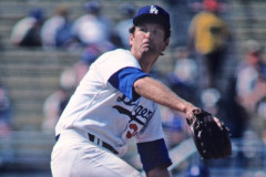 トミージョン、死去
