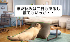 【悲報】大人になると休日すらゲームしなくなる理由、YouTubeのせいだった😰