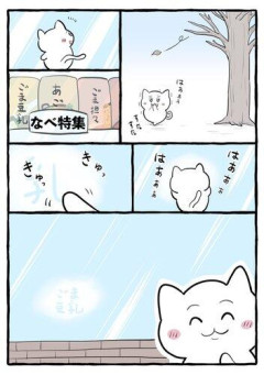 【画像】おんねこ4大意味不明エピソードがこちら