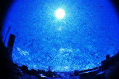 【酷暑】今年の暑さピーク終了か？今週から気温も「30℃未満」が続出になるかも