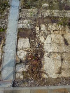 【熊本震度7】始まりは未知の小断層か…見えてきた破壊プロセス