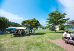 【伝書鳩】GWに彼の実家のある県に遊びに行ったら、全ての日程に彼家族が絡んできた。これだけでも気疲れしたのに、旅行から戻ったら彼から予想外の発言をされたorz