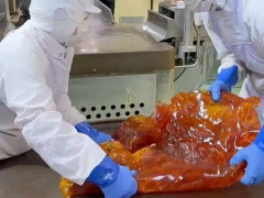 熱い飴のかたまりを手で折りたたむ、はちみつみかん飴ができるまで「これのどこが手作りなんだ」【海外の反応】