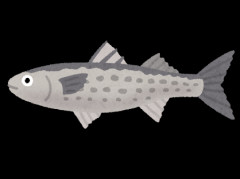 今の時期 河口で釣れる美味い魚教えて