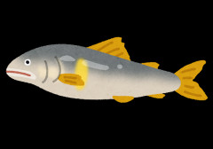 ぶっちゃけめちゃくちゃ過大評価されてる魚