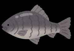 ヘラブナ釣り始めようと思ってる