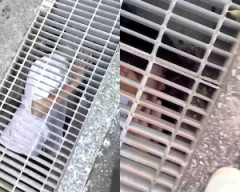 【酷い】泣き叫ぶ子を排水溝の中に閉じ込めるいじめ動画が炎上中。