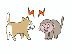 【動画】猿vs犬のバトルの結果、ヤバいｗｗｗｗｗｗｗｗｗｗｗｗｗｗｗｗ