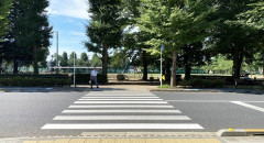 横断歩道の渡り方を見ているとそいつが善人か悪人なのかが分かるよな