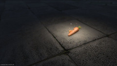 【FF14】クレセントアイルの人参は近くに人がいた場合、取ったら泥棒なのかユーザーたちで議論に→「誰のものでもない、早い者勝ち」「自分なら取っていいか確認する」「我々の人参」