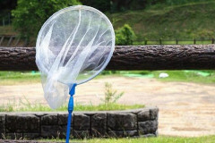 【悲報】岡村隆史、バラエティで虫捕りが中止になった理由を暴露してしまう・・・
