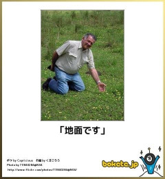 【画像】じわじわ笑える画像、なんか素敵な画像を貼っていけｗｗｗｗｗ