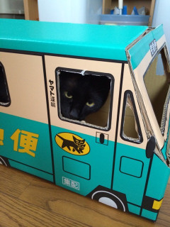 黒猫トラック、黒猫戦車【再】