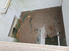 【悲報】千葉市、浸水により放射性廃液が漏洩してしまう