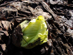釣りと山菜採りが趣味なんだけど、生活保護を受けたとしてもやめなくても大丈夫かな？？