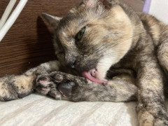 俺は３２、彼女は４１。先月１週間休みを取れたので、初めて彼女のアパートで４日間過ごした。彼女は「自分は尽くすタイプ」とよく言っていたから料理に期待してたのに・・・