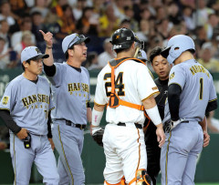 金村義明「最近はセ・リーグにも乱闘騒ぎ増えてきたね、阪神のせいでw」