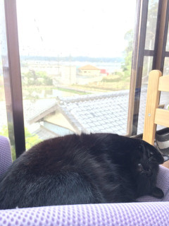 【クロ祭り】黒まんぞくさん【再】