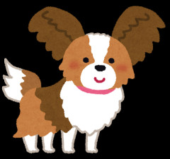 【悲報】可愛い犬のトレーナーが途中で豹変、いったい何が…？ｗｗｗｗ