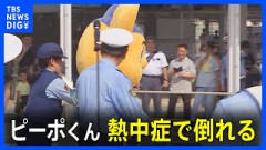 【悲報】ピーポくん、熱中症でぶっ倒れる