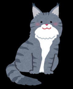 猫飼ってる人、種類はなんですか？