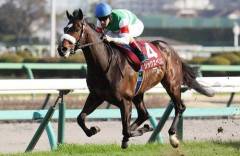 【悲報】安田記念馬シックスペンス、武豊とのフランスG1で最下位…「途中から手応えが」