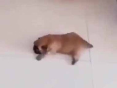 恐ろしいモンスターがやってきた。みんな逃げて～！ → 次々とこうなります…