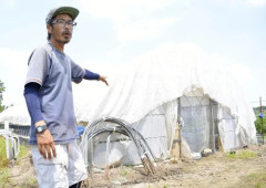 キョン 千葉県から分布拡大の恐れ　茨城で初の捕獲