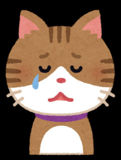 天国の愛猫「大好きだったよw」四十九日にお供えしたかすみ草が1時間弾け続けた『奇跡の理由』