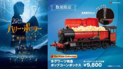 【画像】TOHOシネマズ、9800円のポップコーン販売