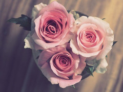 30過ぎて独り身なのでほぼ結婚はあきらめたわけだけど