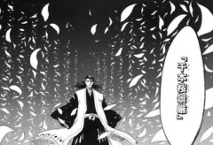 【BLEACH】この卍解めちゃくちゃ脳筋