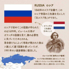 【速報】ロシア「日本に適切な対抗措置を取る」