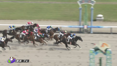 【上越S】エンヤラヴフェイス＆川須騎手がｷﾀ━━━━(ﾟ∀ﾟ)━━━━!!