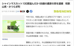 【和歌山】シャインマスカット泥棒、農家の男を逮捕